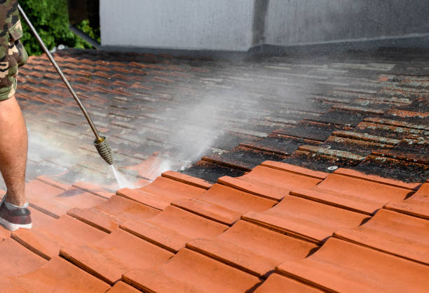 Best Roof Power Washing Services  in Newstle, CA