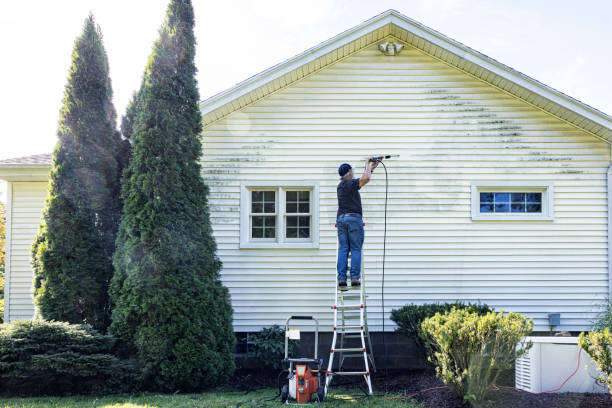 Best Roof Pressure Washing  in Newstle, CA